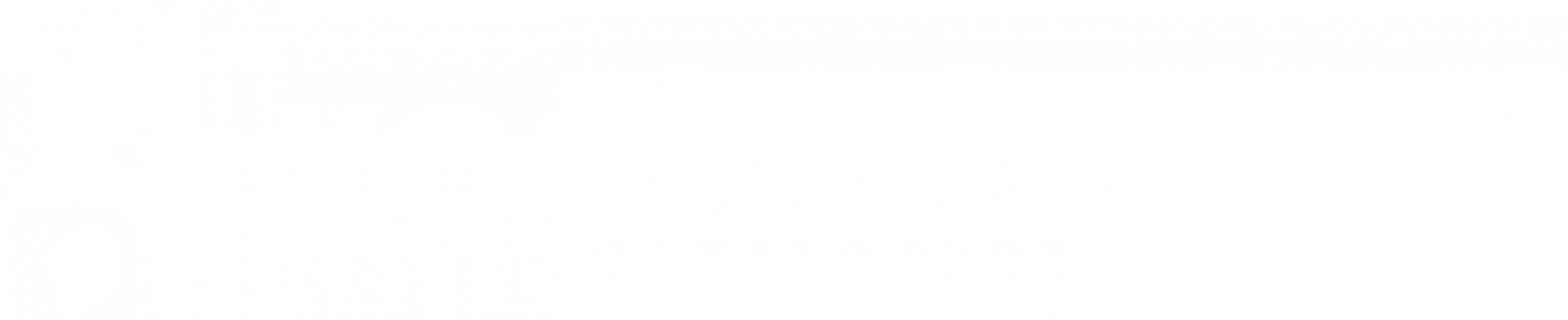 RocketRoad_Wort-Bildmarke_RGB_negativ_1c